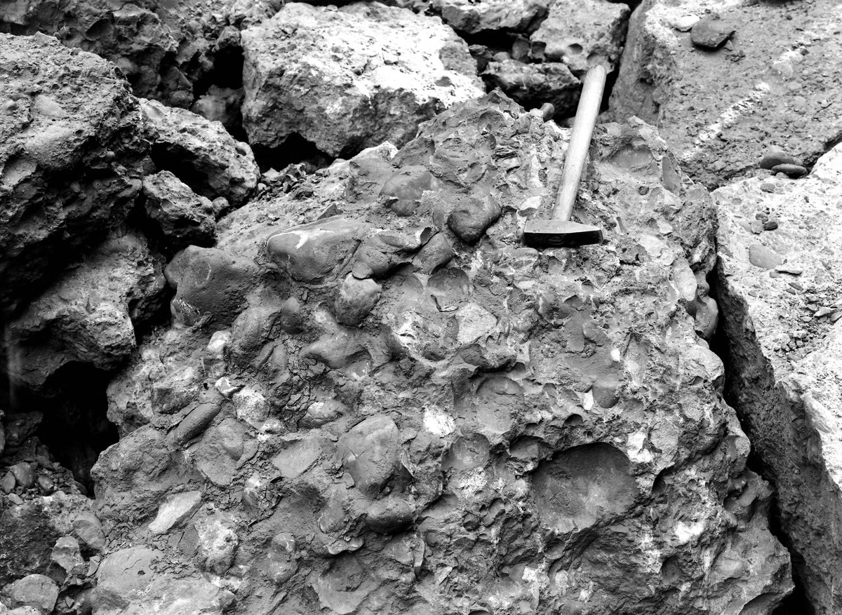 Jul 1921 - Old quarry, W. side of Baggeridge Wood, about 1 1/2 m. W. of Sedgely. Looking NE.
