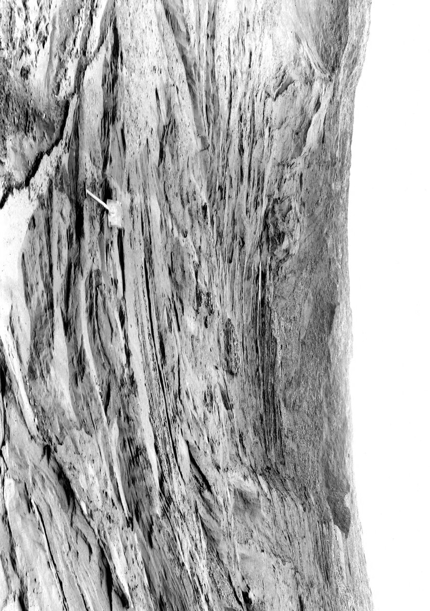 Jul 1921 - Bustleholm Sand-pit, about 1 1/2 m. NW of Newton Rd Station, West Bromwich. Looking SE.