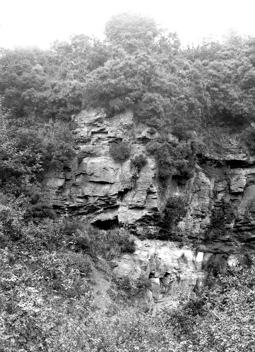 Aug 1922 - Barngill Quarry, 3 1/4 m. NNE of Whitehaven. Looking NE.