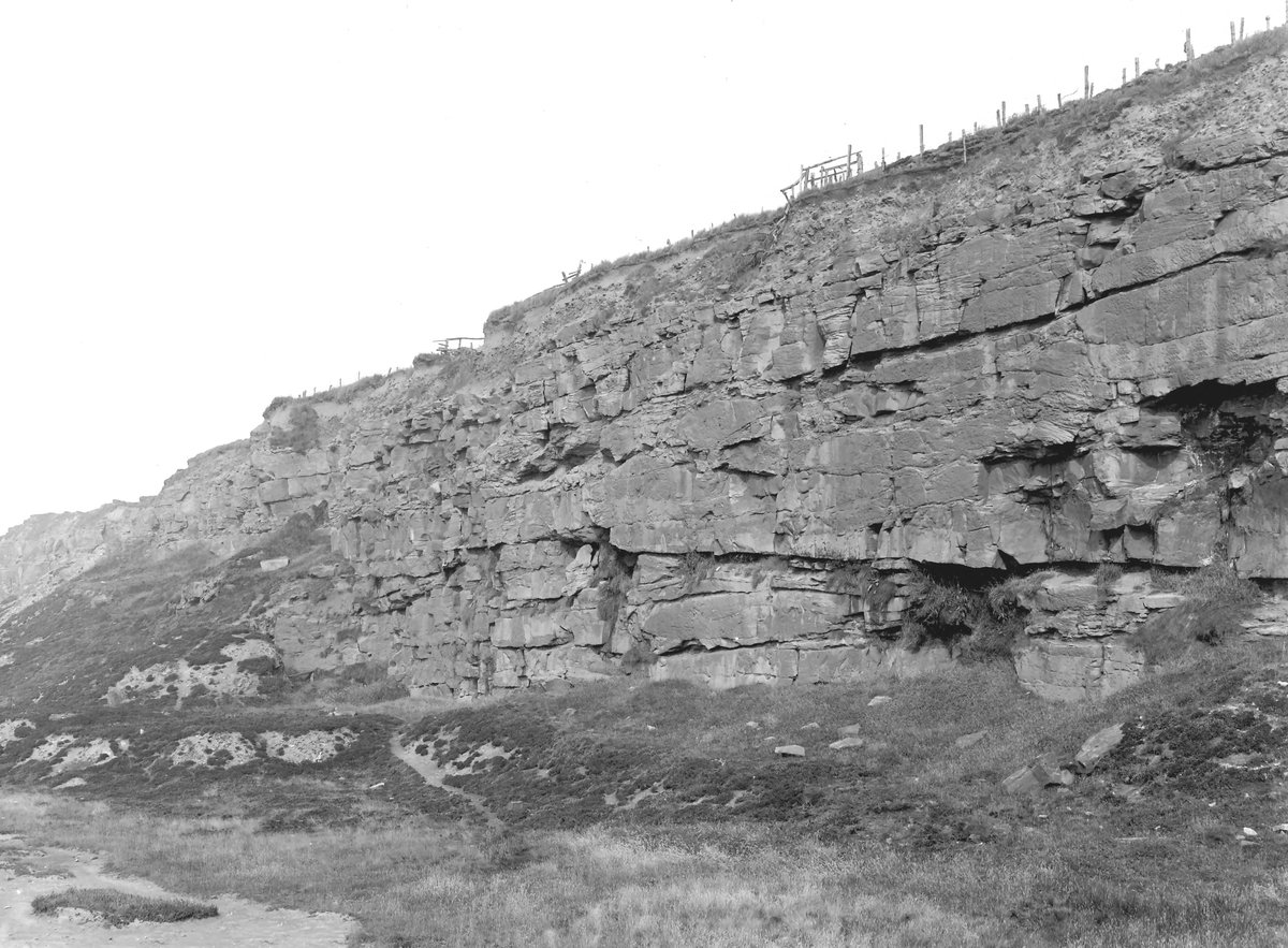 Aug 1922 - Ravenhill Quarry, on cliff-path between Wellington Pit and Saltom Pit, Whitehaven. Looking E., submitted by Buddle-Bot on 08-11-2025.
Bgs No. P202267; Rhodes, J.; © Crown. Image & Text: BGS Geoscenic, under OGL V2 License http://bit.ly/462AXmV Aug 1922 - Ravenhill Quarry, on cliff-path between Wellington Pit and Saltom Pit, Whitehaven. Looking E.