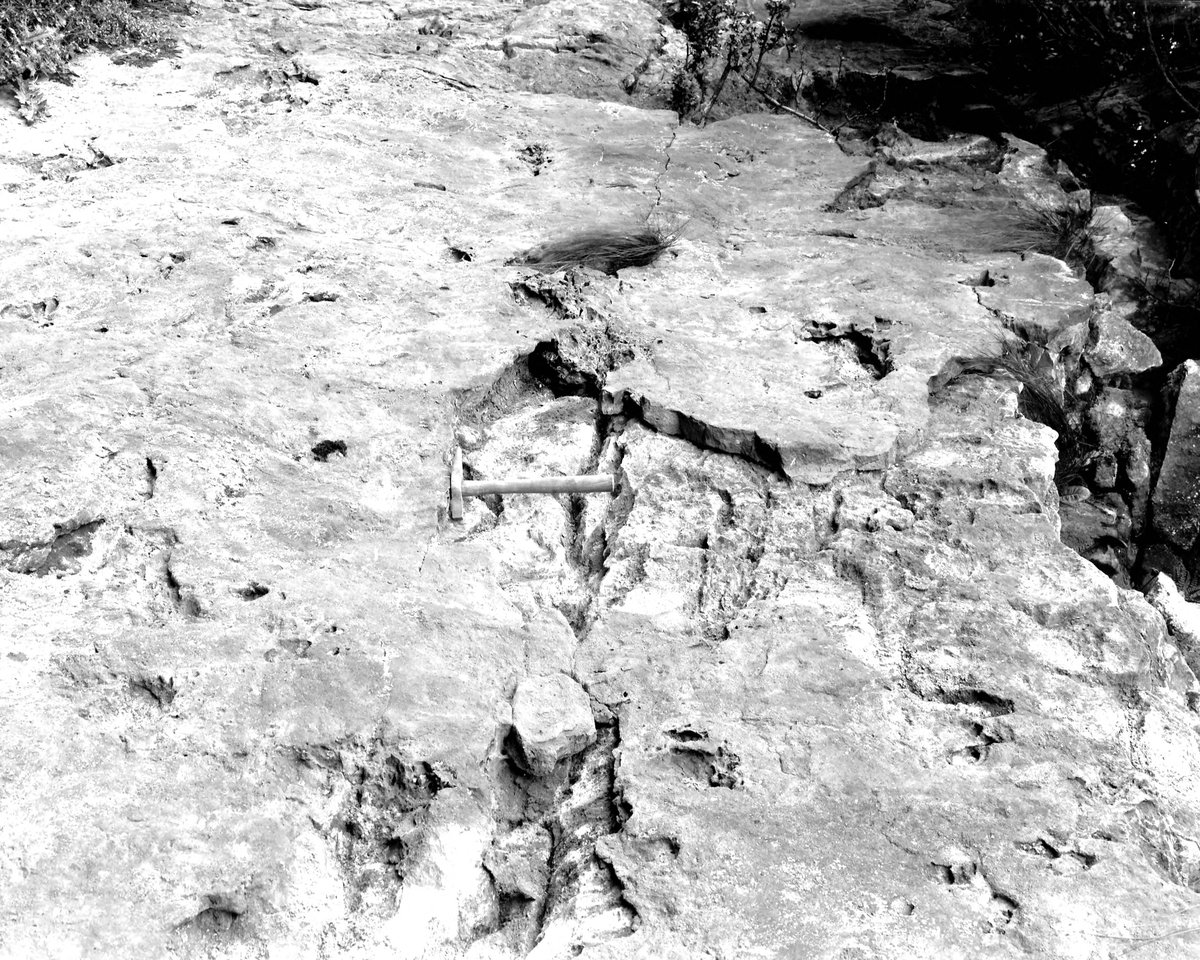 Sep 1922 - Langhorn Quarry, (N. end) Bigrigg. Looking S.