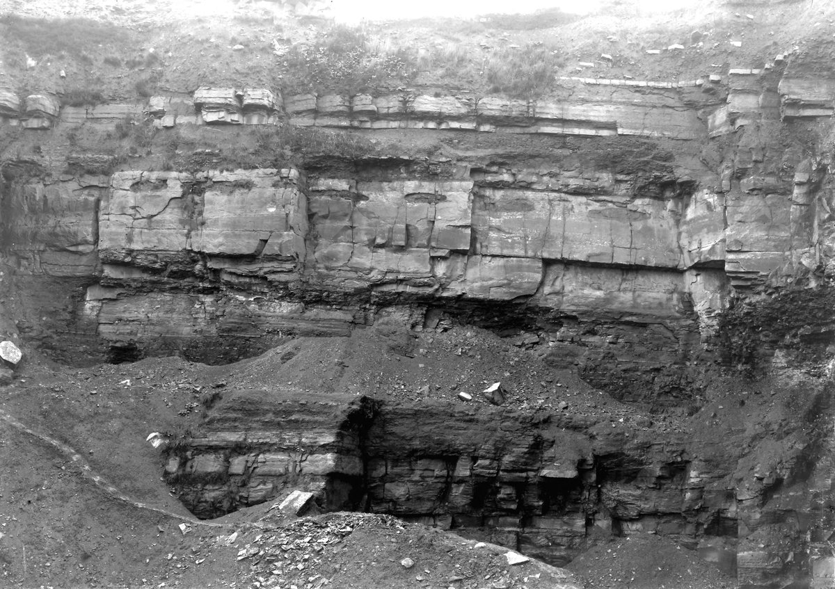 Sep 1923 - Whitegate Quarry, Padeham Road, Burnley. Looking NE., submitted by Buddle-Bot on 08-11-2025.
Bgs No. P202577; Rhodes, J.; © Crown. Image & Text: BGS Geoscenic, under OGL V2 License http://bit.ly/462AXmV Sep 1923 - Whitegate Quarry, Padeham Road, Burnley. Looking NE.