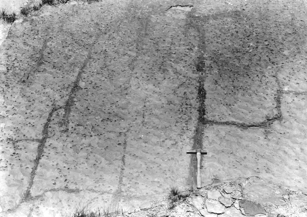 Sep 1923 - Close Brow Quarry, Rishton. Looking NW., submitted by Buddle-Bot on 08-11-2025.
Bgs No. P202592; Rhodes, J.; © Crown. Image & Text: BGS Geoscenic, under OGL V2 License http://bit.ly/462AXmV Sep 1923 - Close Brow Quarry, Rishton. Looking NW.
