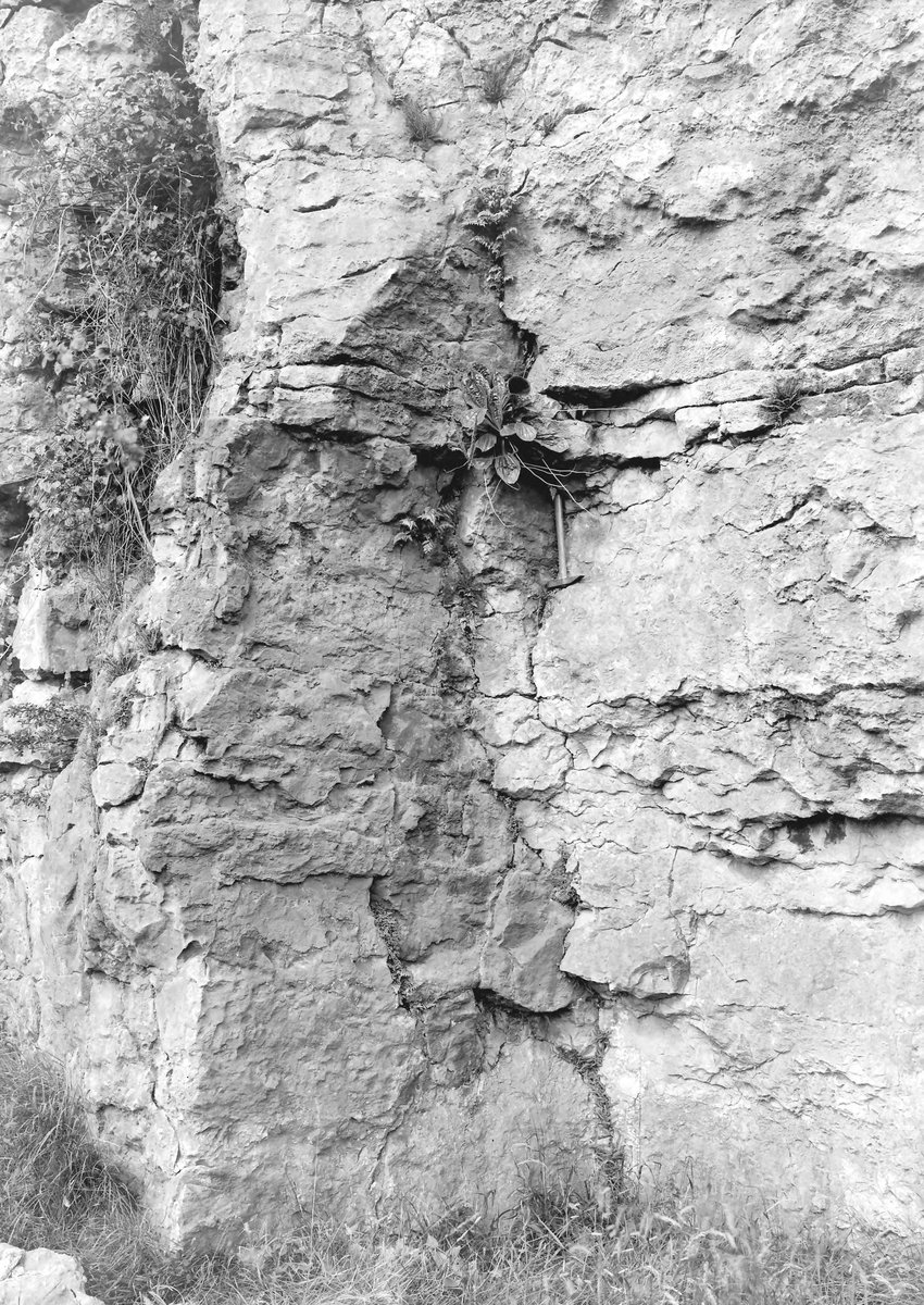 Aug 1924 - Old Clints Quarry, S. of Orebank House, Bigrigg (Clints Brow). Looking W.