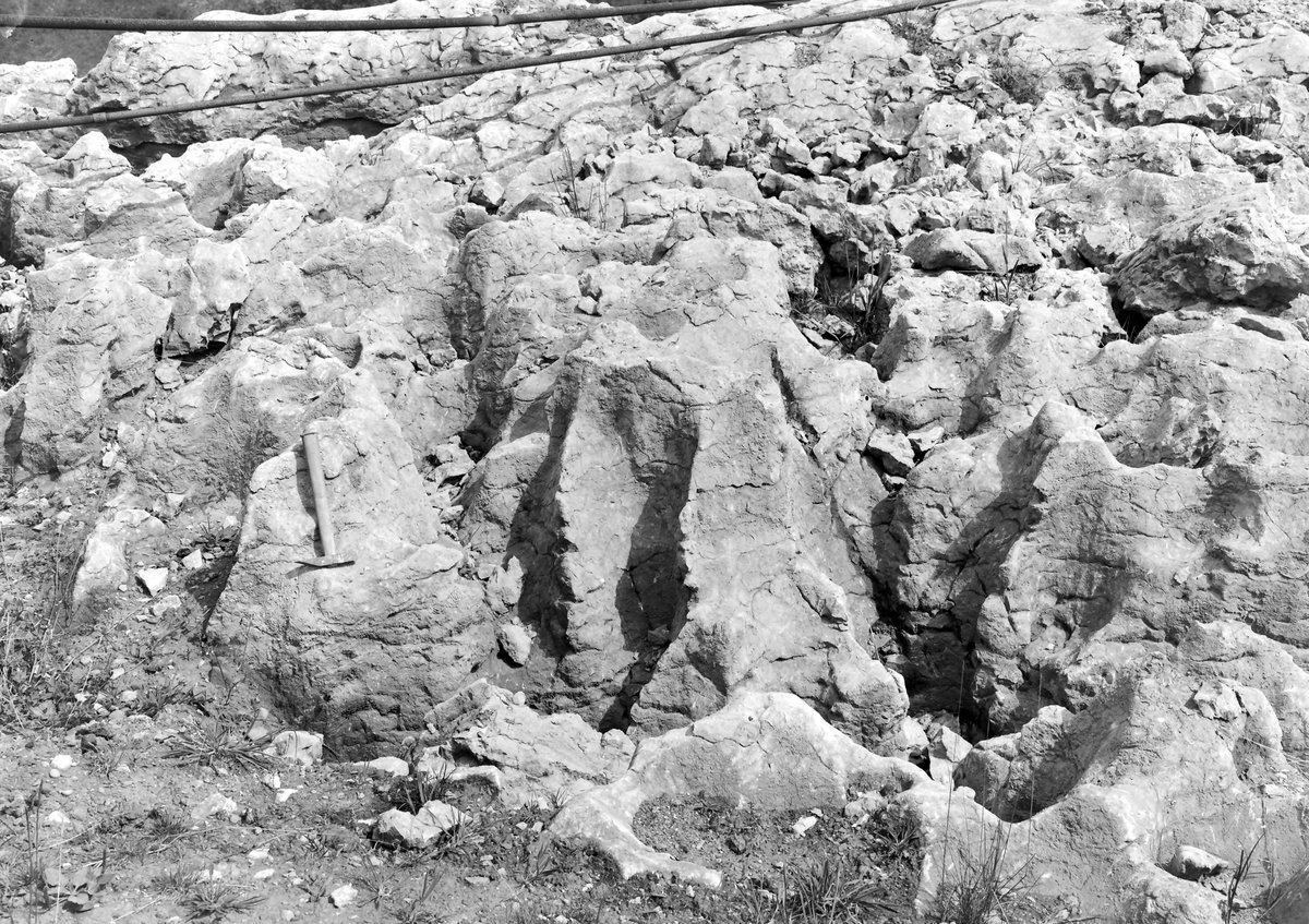 Aug 1924 - Clints Quarry, Bigrigg. Looking NE.
