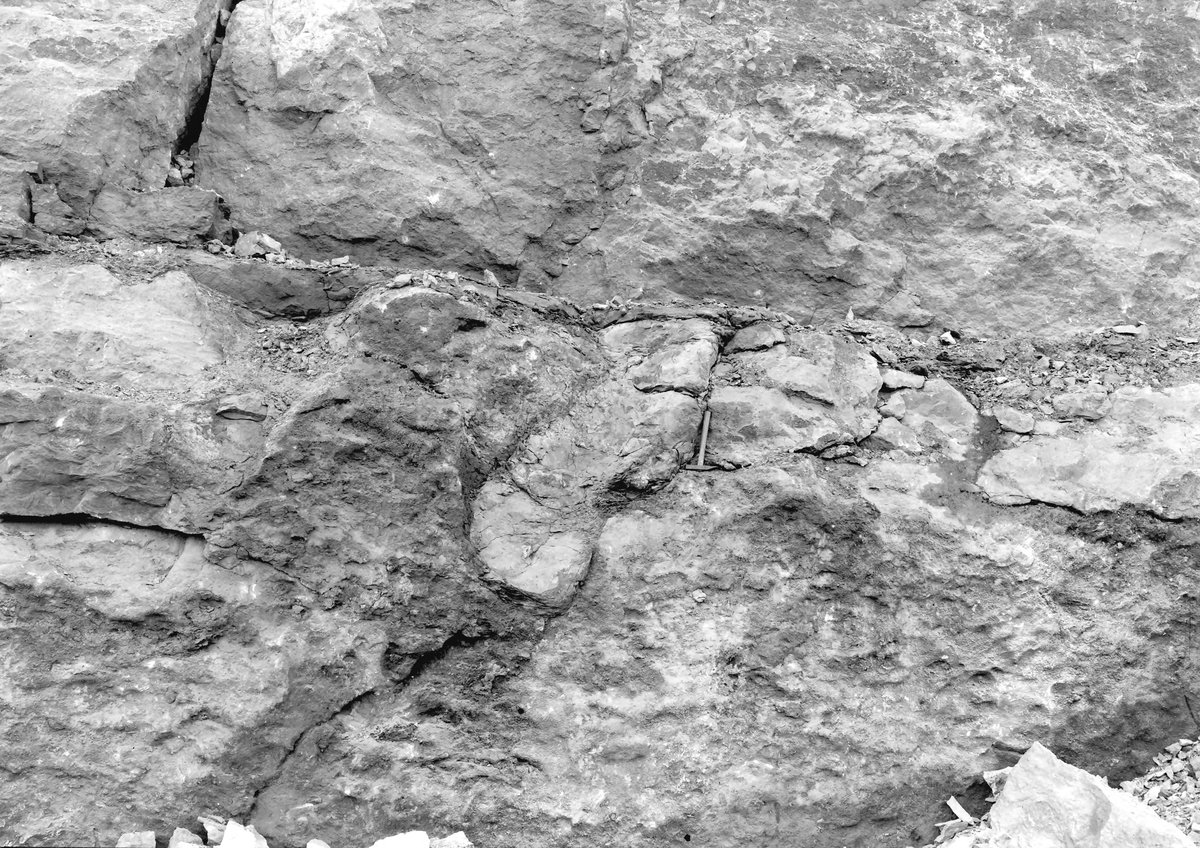 Aug 1924 - Clints Quarry, Bigrigg. Looking W.