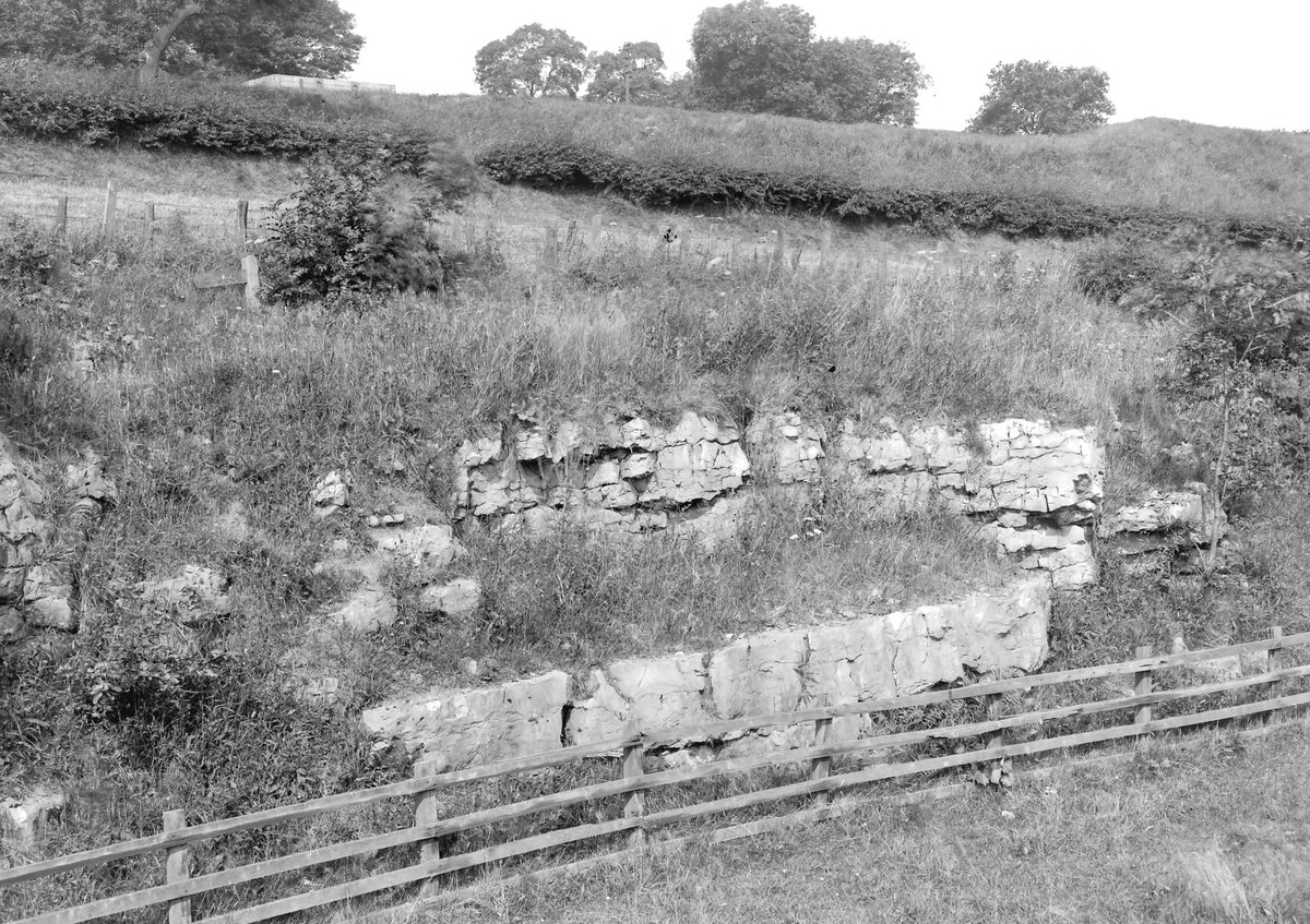 Aug 1924 - Mineral-cutting, E. of Clints Quarry, Bigrigg. Looking W.