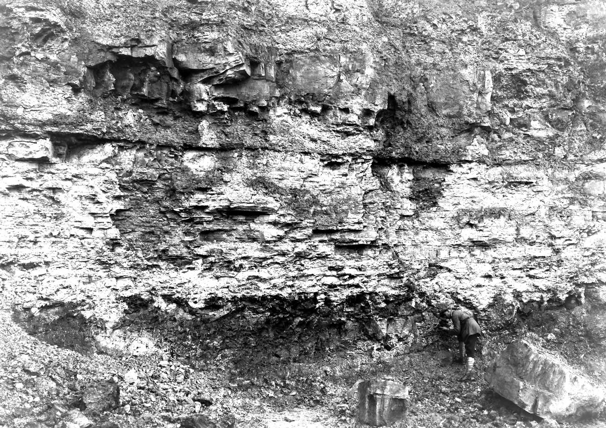 Sep 1924 - Clay-pit, Randlay Brickworks, near Malin's Lee Station. Looking S.