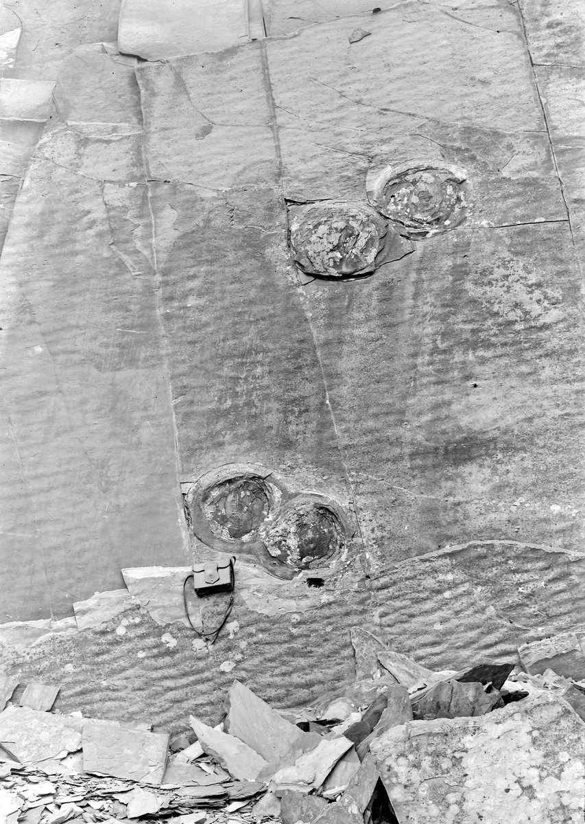 Jul 1925 - Clogau Quarries, Oernant. Looking S.