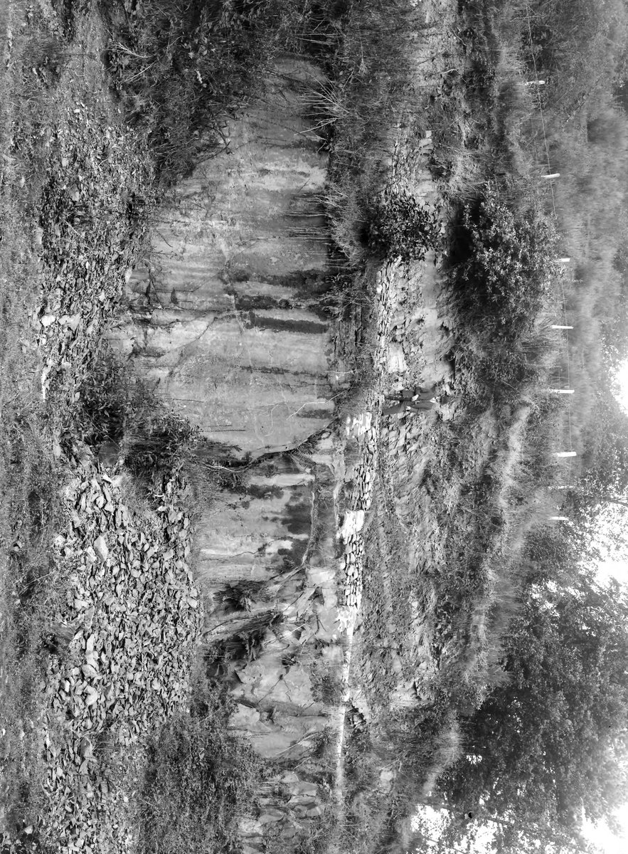 Sep 1926 - Viewpoint. Old quarry at NW end of Llanrhaiadr. Looking WNW., submitted by Buddle-Bot on 08-11-2025.
Bgs No. P203594; Rhodes, J.; © Crown. Image & Text: BGS Geoscenic, under OGL V2 License http://bit.ly/462AXmV Sep 1926 - Viewpoint. Old quarry at NW end of Llanrhaiadr. Looking WNW.