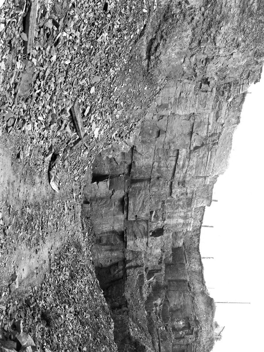 Jul 1929 - Quarry, on main Bolton Road, about 2 m. SE of Horwich. Looking E., submitted by Buddle-Bot on 08-11-2025.
Bgs No. P204643; Rhodes, J.; © Crown. Image & Text: BGS Geoscenic, under OGL V2 License http://bit.ly/462AXmV Jul 1929 - Quarry, on main Bolton Road, about 2 m. SE of Horwich. Looking E.