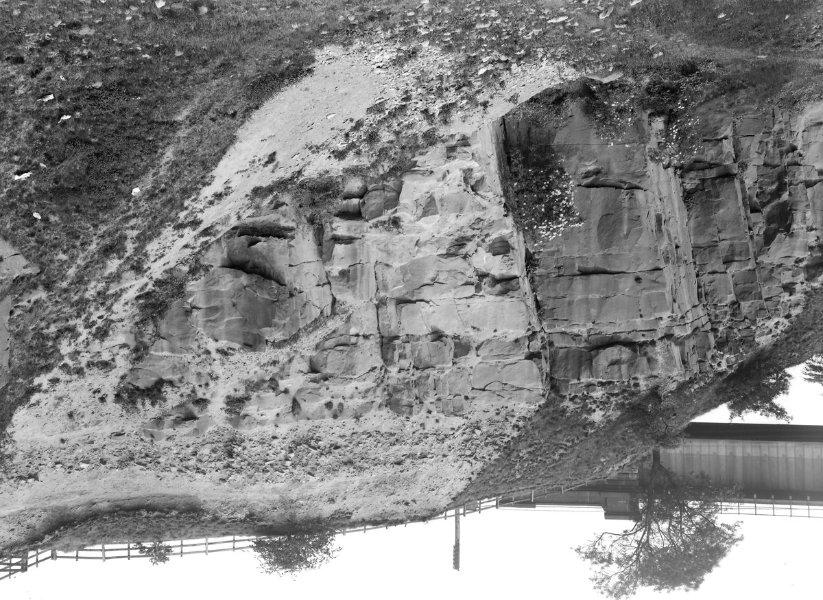 Jul 1929 - Old quarry, S. side of viaduct (E. end), Broadbottom. Looking N.