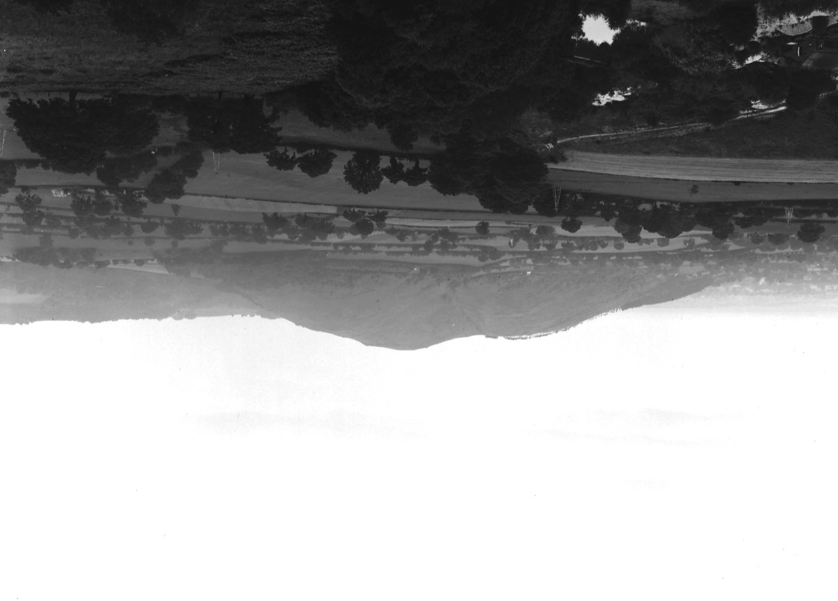 Jul 1929 - Viewpoint, old quarry, Granham's Moor, 1/2 m. W. of Habberley. Looking NE-E., submitted by Buddle-Bot on 08-11-2025.
Bgs No. P204757; Rhodes, J.; © Crown. Image & Text: BGS Geoscenic, under OGL V2 License http://bit.ly/462AXmV Jul 1929 - Viewpoint, old quarry, Granham's Moor, 1/2 m. W. of Habberley. Looking NE-E.