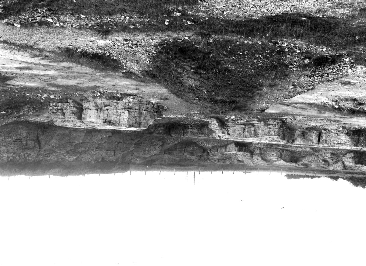 Aug 1930 - Old quarry, The Grives, Kirkby-in-Ashfield. Looking W.