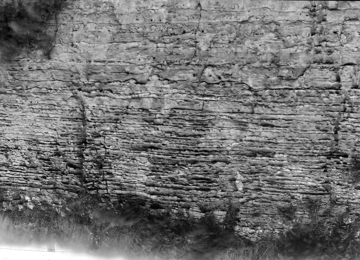 Aug 1930 - Old quarry, The Grives, Kirkby-in-Ashfield. Looking N.