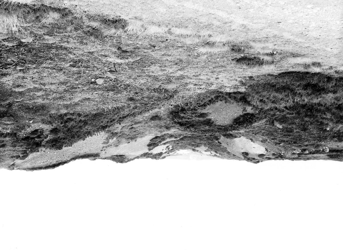 Aug 1931 - Goathland Moor. Looking WNW.