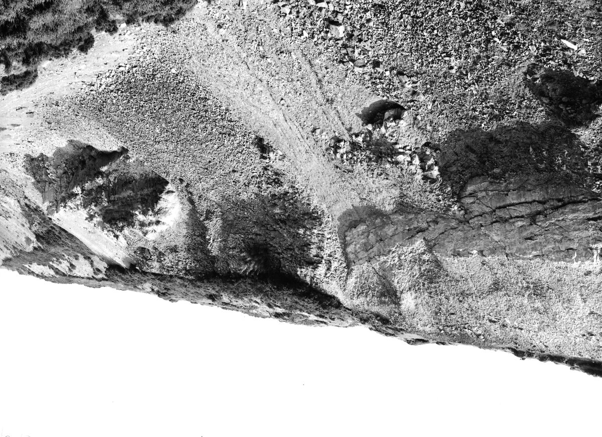 Aug 1931 - Goathland Moor. Looking WNW.