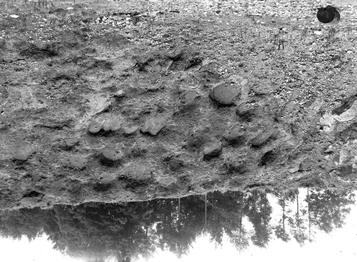 Sep 1932 - Old quarry, Lime Kiln Hill, about 1/4 m. SE of Mells Church. Looking S.