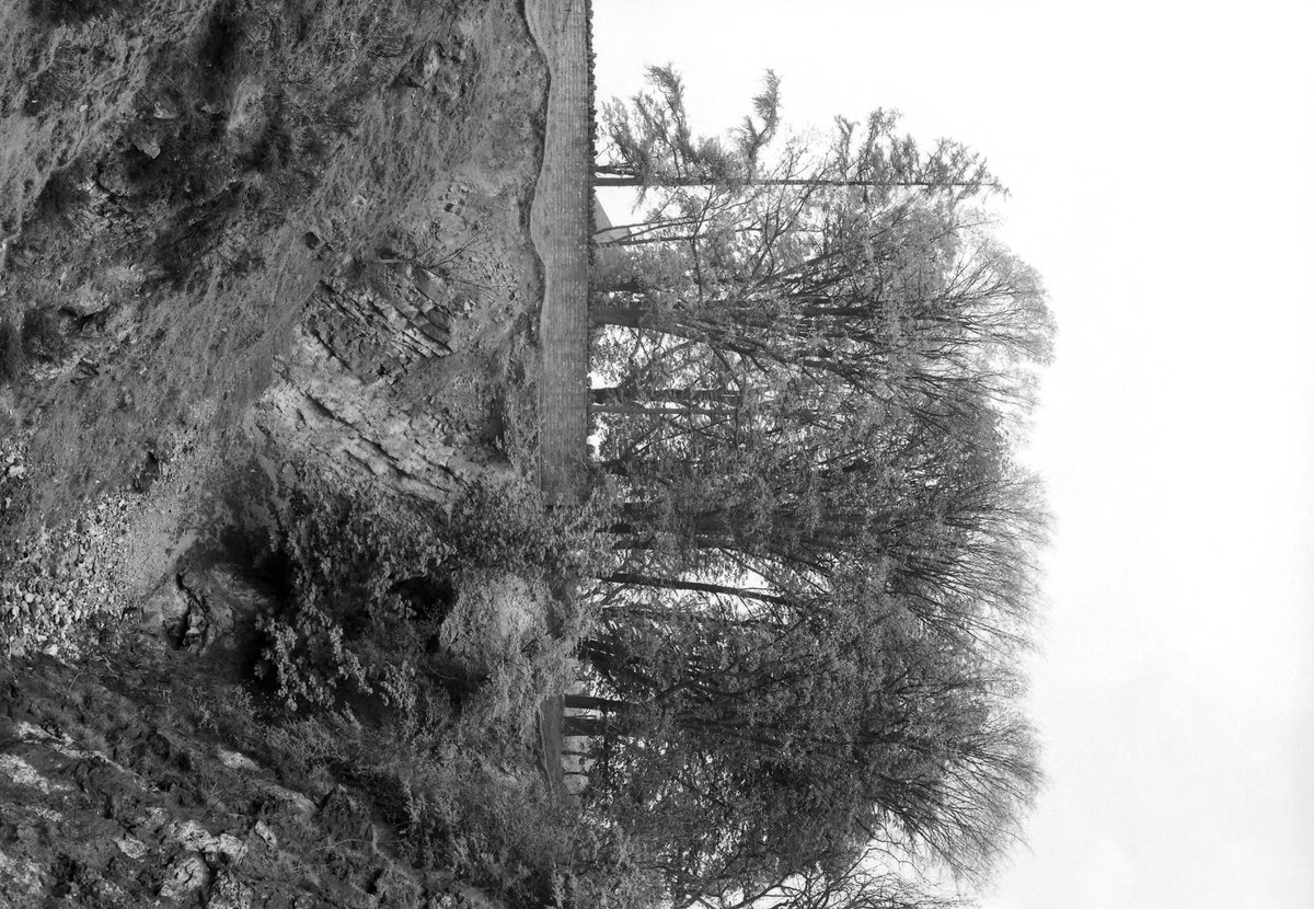 May 1936 - Old quarry, 1/2 m. S. of the Wilderness and 1 m. ENE of church at Nailbridge. Looking N.