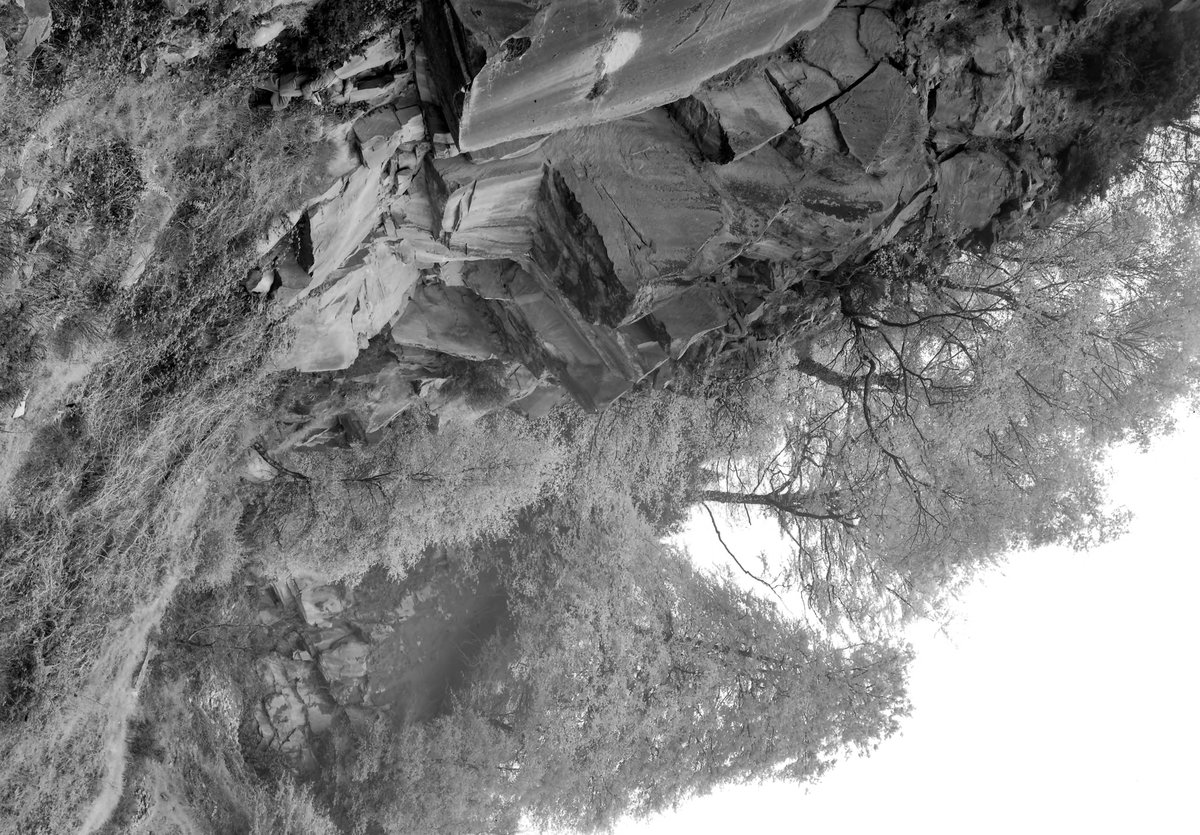 May 1936 - Sandstone quarry, 200 yd. NNE of Staple Edge Halt, Ruspidge. Looking N.