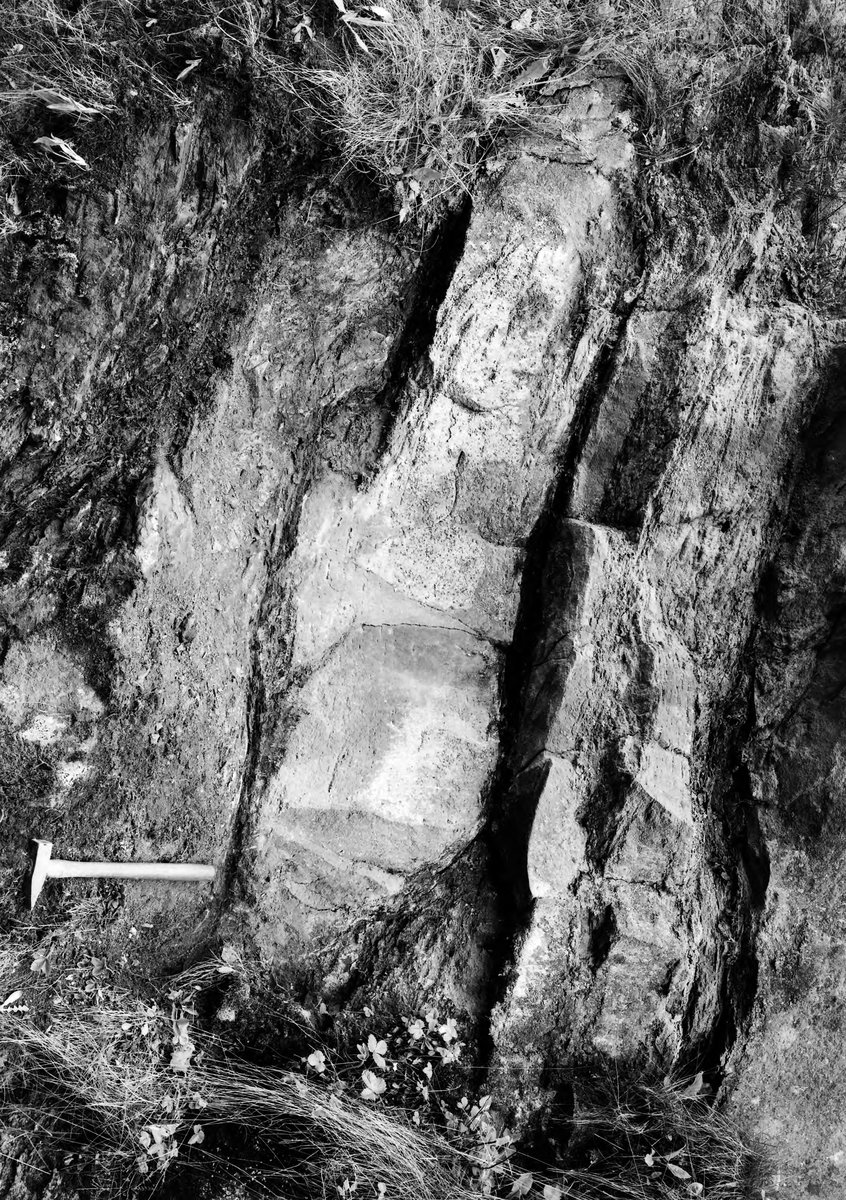 May 1936 - Sandstone quarry, 200 yd. NNE of Staple Edge Halt, Ruspidge. Looking W.