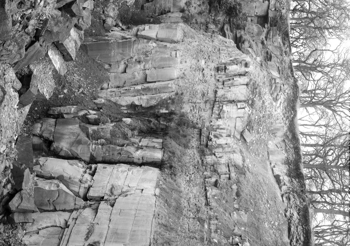 May 1936 - Knockley Quarries, 1 m. N. by E. of church, Bream. Looking NE.