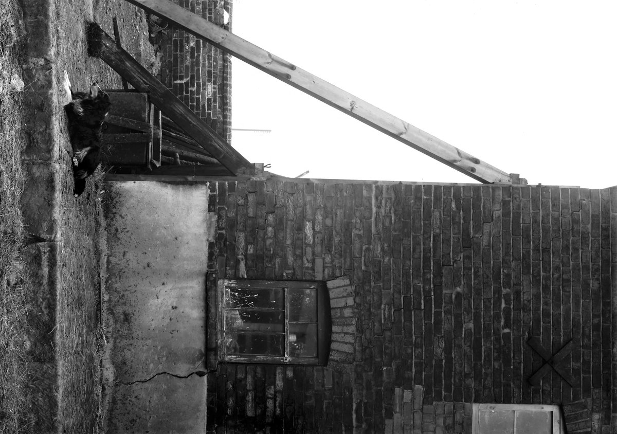 Aug 1936 - Colton, near Leeds., submitted by Buddle-Bot on 08-11-2025.
Bgs No. P206871; Rhodes, J.; © Crown. Image & Text: BGS Geoscenic, under OGL V2 License http://bit.ly/462AXmV Aug 1936 - Colton, near Leeds.