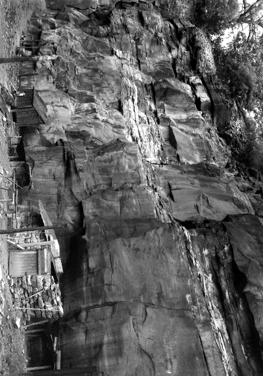 Sep 1936 - Old quarry, about 1/2 m. SW of Denaby Wood. Looking NE.