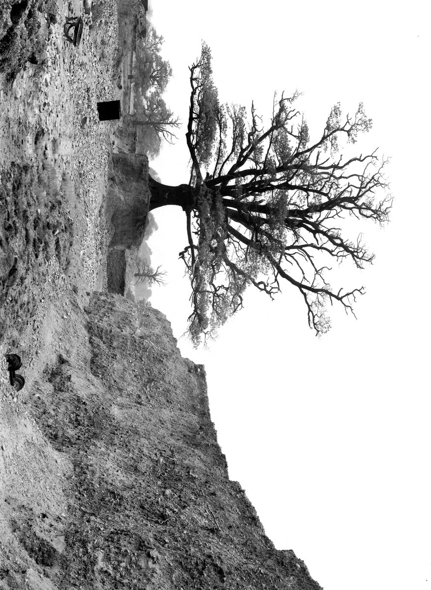 Aug 1936 - Gravel-pit, 1 m. NE of Woolley Church. Looking NW., submitted by Buddle-Bot on 08-11-2025.
Bgs No. P206945; Rhodes, J.; © Crown. Image & Text: BGS Geoscenic, under OGL V2 License http://bit.ly/462AXmV Aug 1936 - Gravel-pit, 1 m. NE of Woolley Church. Looking NW.