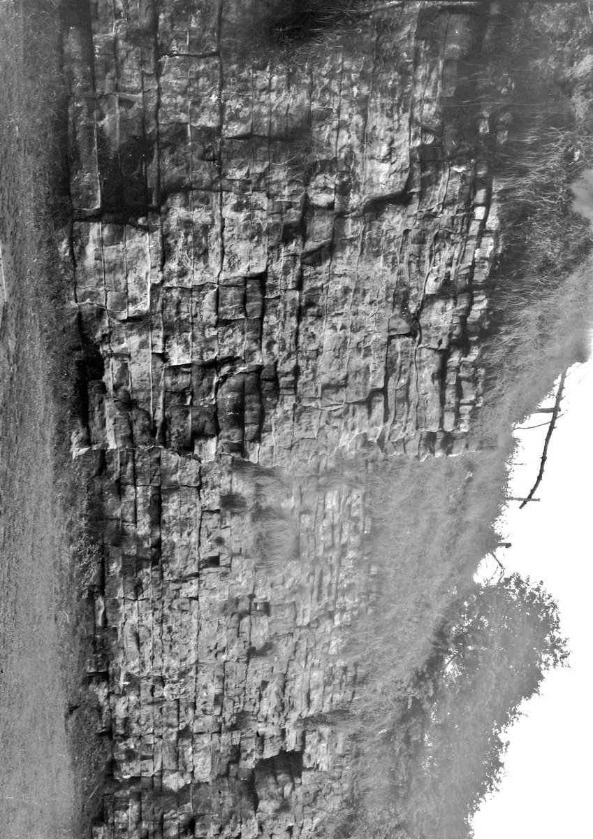 Aug 1936 - Old quarry (in wood), White Hills, Kippax. Looking E., submitted by Buddle-Bot on 08-11-2025.
Bgs No. P206952; Rhodes, J.; © Crown. Image & Text: BGS Geoscenic, under OGL V2 License http://bit.ly/462AXmV Aug 1936 - Old quarry (in wood), White Hills, Kippax. Looking E.