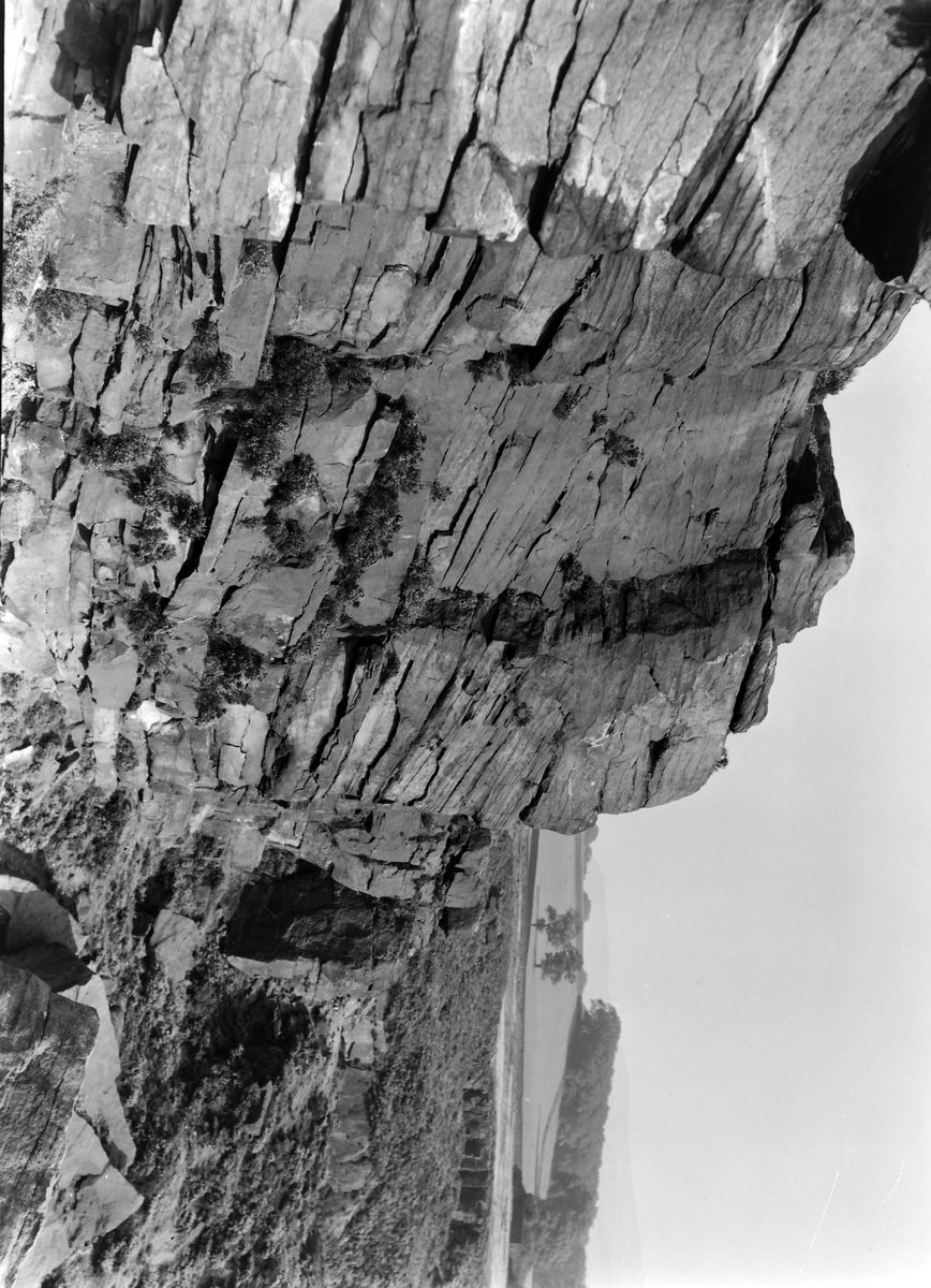 Aug 1937 - Quarry N. of Crag Top, Farnhill Moor, about 1/2 m. N. of Farnhill Church. Looking ESE.