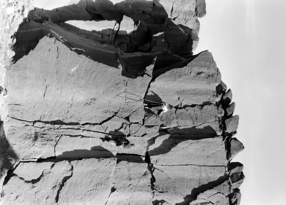 Aug 1937 - Old quarry, just S. of Cow and Calf Rocks, SE of Ben Rhydding. Looking N., submitted by Buddle-Bot on 08-11-2025.
Bgs No. P207222; Rhodes, J.; © Crown. Image & Text: BGS Geoscenic, under OGL V2 License http://bit.ly/462AXmV Aug 1937 - Old quarry, just S. of Cow and Calf Rocks, SE of Ben Rhydding. Looking N.