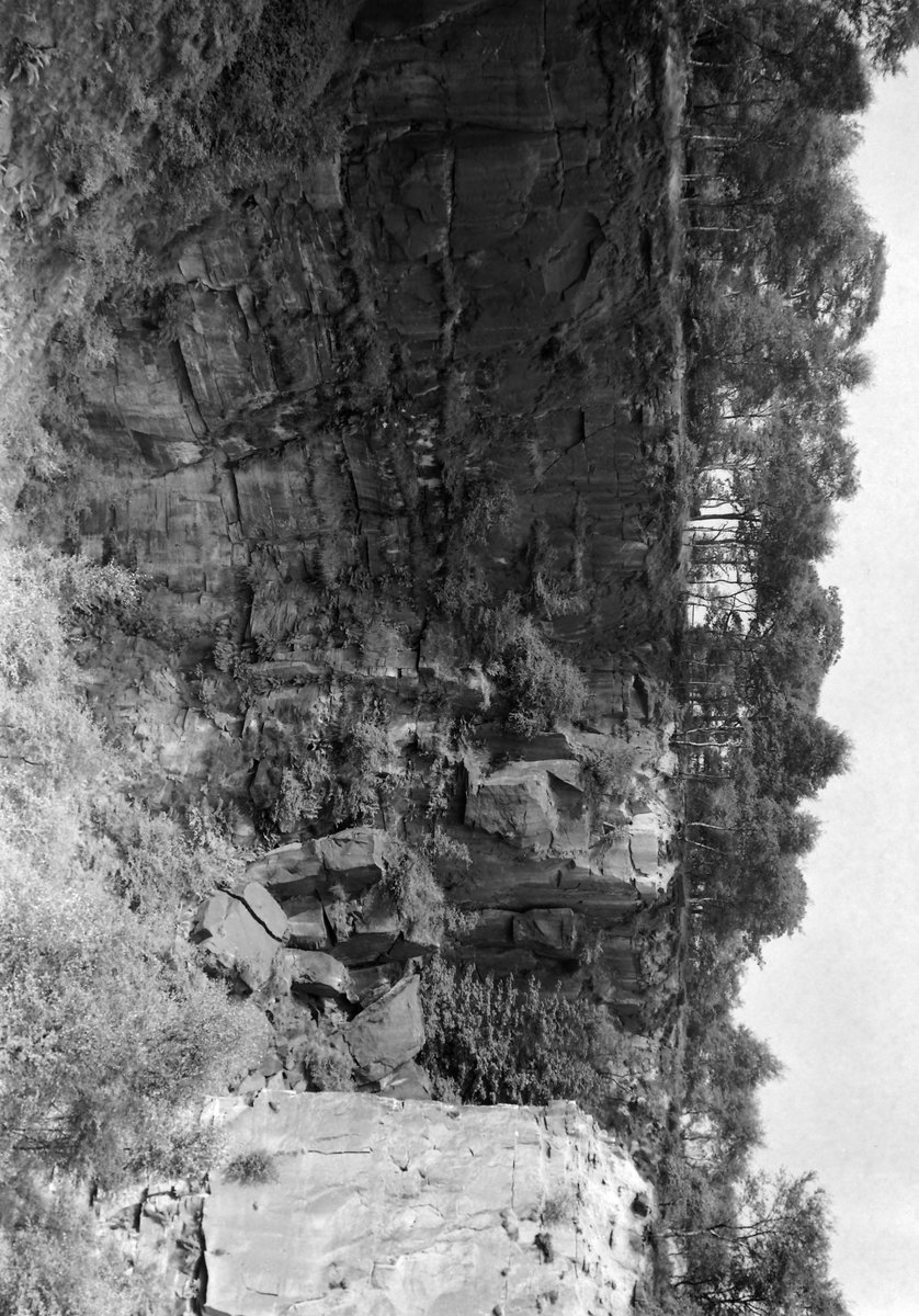Aug 1937 - Quarry, Calverley Wood, 3/8 m. NNW of Calverley Church. Looking WSW.