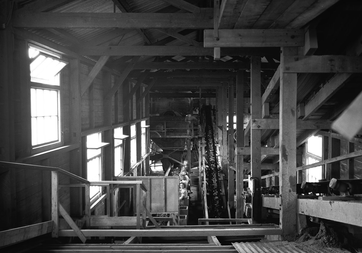 Aug 1945 - The mill, Geevor Mine, Pendeen, Cornwall., submitted by Buddle-Bot on 08-11-2025.
Bgs No. P208013; Rhodes, J.; © Crown. Image & Text: BGS Geoscenic, under OGL V2 License http://bit.ly/462AXmV Aug 1945 - The mill, Geevor Mine, Pendeen, Cornwall.