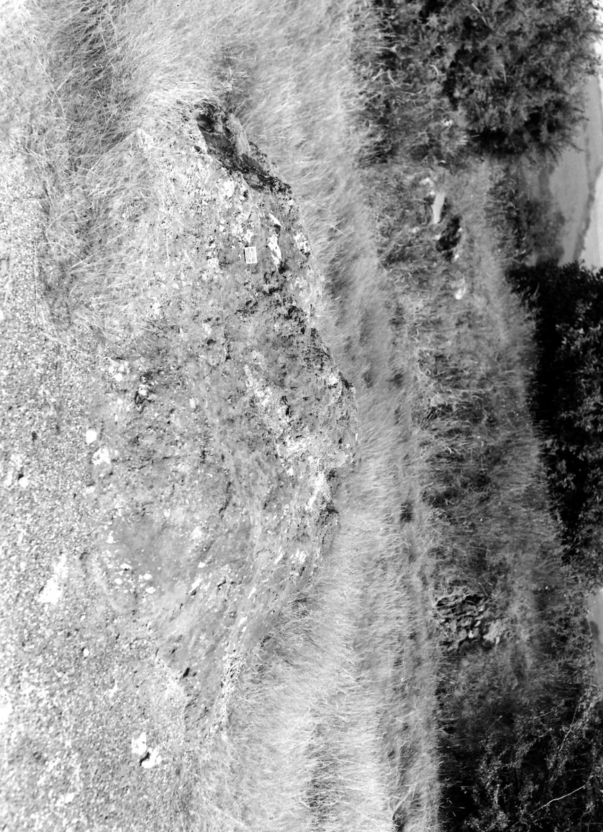 Aug 1945 - Duchy Peru Mine. Looking NE.