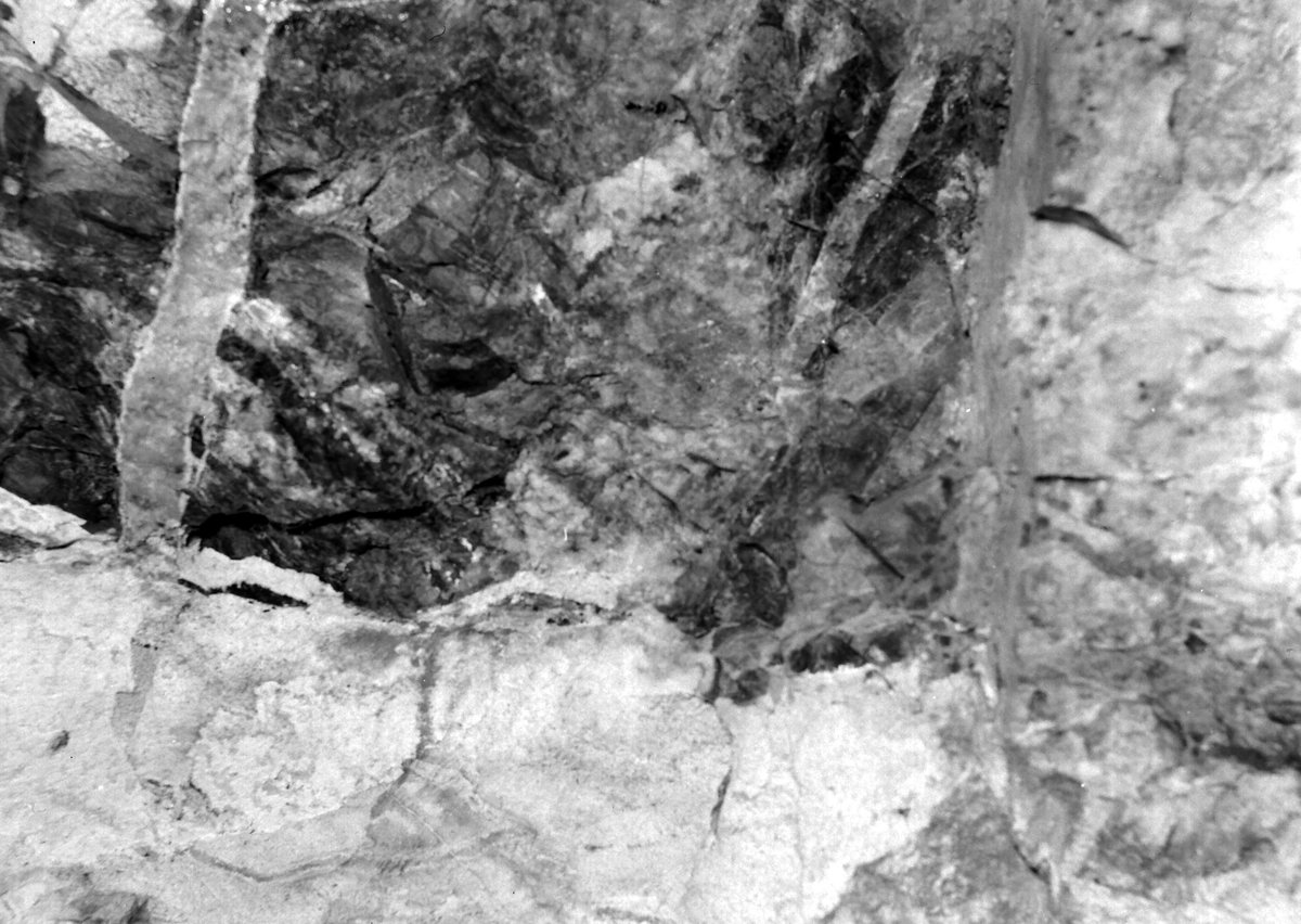 Aug 1945 - Castle an Dinas., submitted by Buddle-Bot on 08-11-2025.
Bgs No. P208059; Rhodes, J.; © Crown. Image & Text: BGS Geoscenic, under OGL V2 License http://bit.ly/462AXmV Aug 1945 - Castle an Dinas.