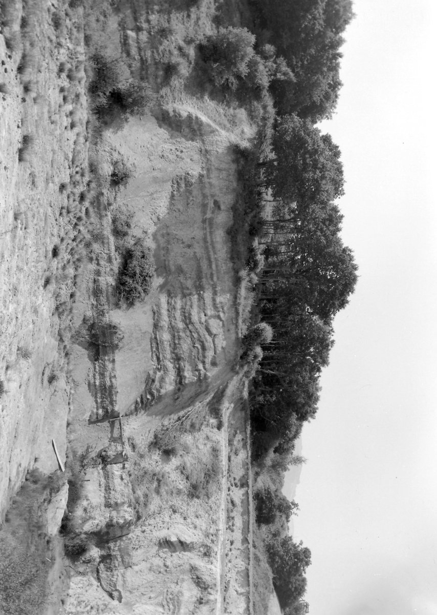 Aug 1945 - Southacre Pit, Newton Abbot. Looking W., submitted by Buddle-Bot on 08-11-2025.
Bgs No. P208098; Rhodes, J.; © Crown. Image & Text: BGS Geoscenic, under OGL V2 License http://bit.ly/462AXmV Aug 1945 - Southacre Pit, Newton Abbot. Looking W.