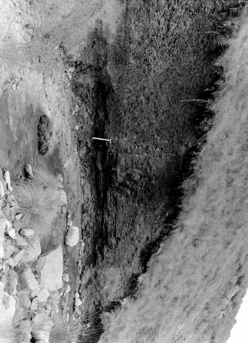 Jul 1951 - Laneshaw Brook, 1400 yd. S. 48 degrees W. of Pad Cote (4 m. E. of Colne). Looking NW.