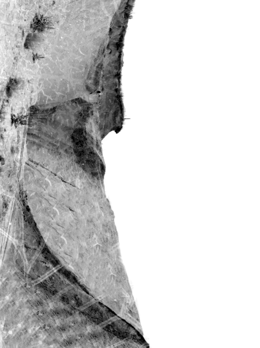 Jul 1957 - Bee Nest Sand Pit 1/2 mile ENE of Brassington. Looking E.