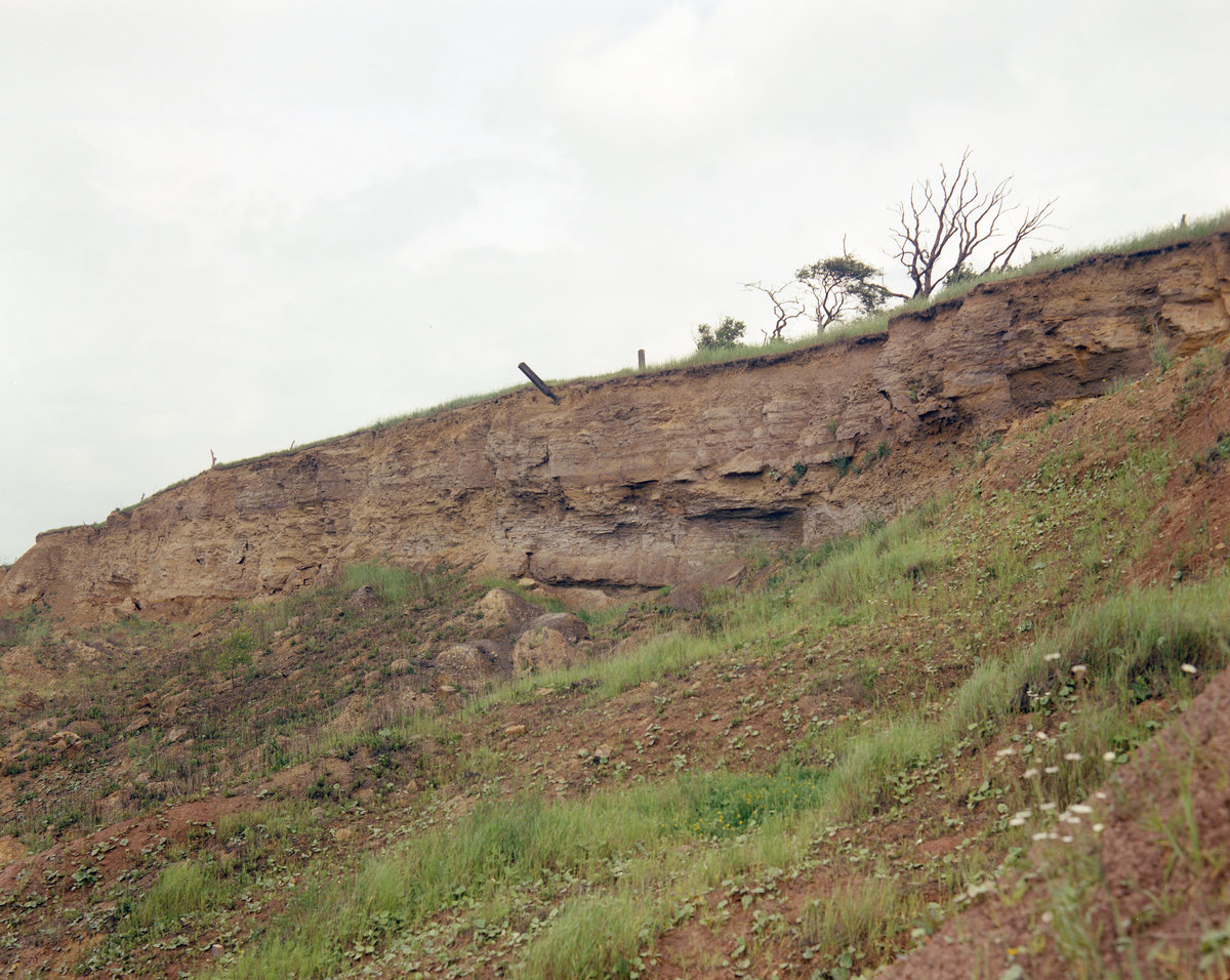 1965 - Baggeridge Brick Co. Ltd. Clay Pit. Looking E., submitted by Buddle-Bot on 08-11-2025.
Bgs No. P210289; Thompson, J.D.; © NERC. Image & Text: BGS Geoscenic, under OGL V2 License http://bit.ly/462AXmV 1965 - Baggeridge Brick Co. Ltd. Clay Pit. Looking E.
