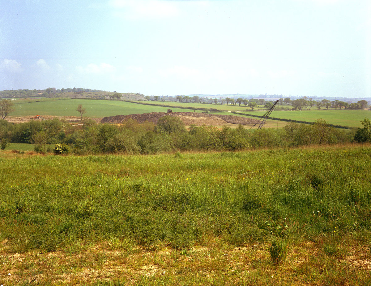 1971 - Randley Wood, Telford. Looking NE.