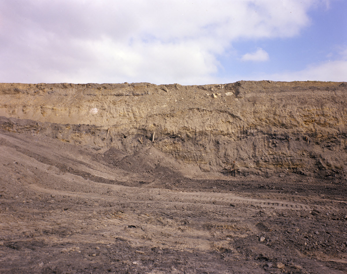 1972 - Coalmoor, near Dawley. Looking SE.