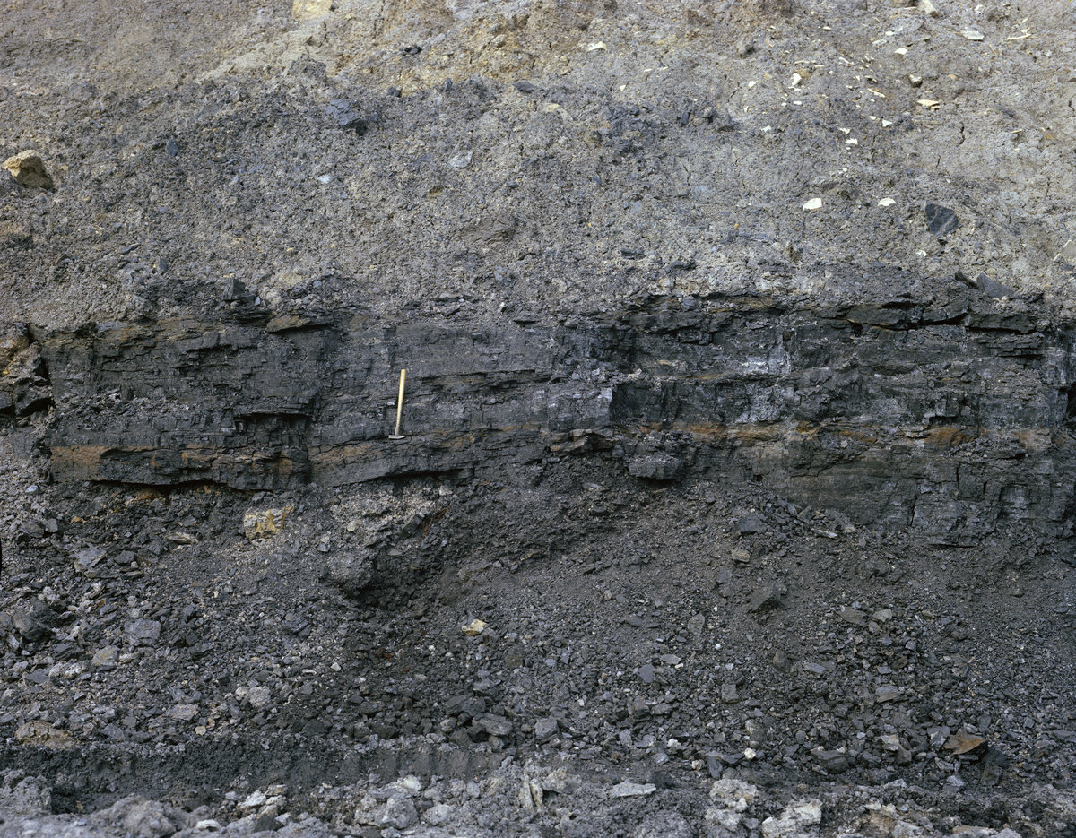 1972 - Coalmoor, near Dawley. Looking NE.