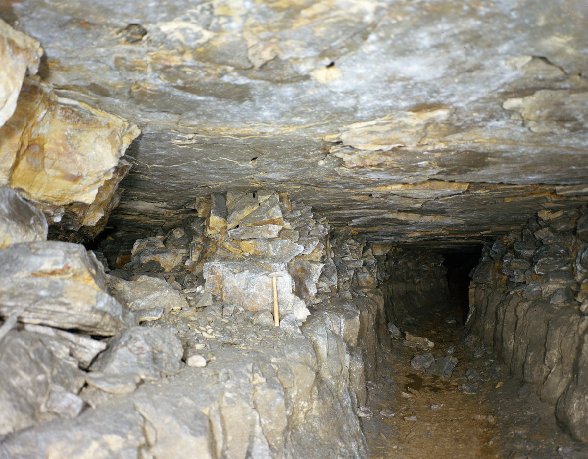 1974 - Crawstone Ironstone Mine, Ironbridge, Shropshire., submitted by Buddle-Bot on 08-11-2025.
Bgs No. P211735; Evans, H.J.; © NERC. Image & Text: BGS Geoscenic, under OGL V2 License http://bit.ly/462AXmV 1974 - Crawstone Ironstone Mine, Ironbridge, Shropshire.