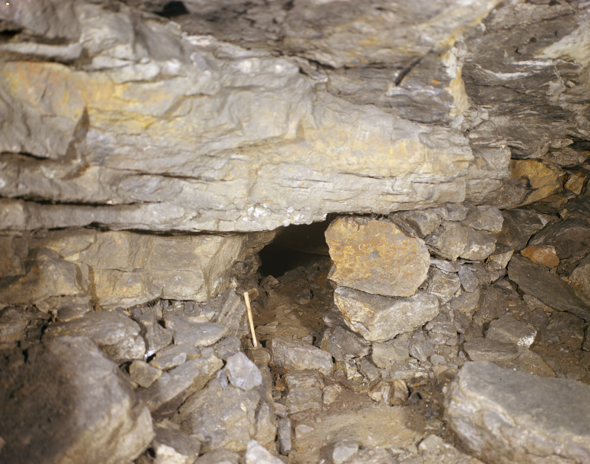 1974 - Ironbridge., submitted by Buddle-Bot on 08-11-2025.
Bgs No. P211737; Evans, H.J.; © NERC. Image & Text: BGS Geoscenic, under OGL V2 License http://bit.ly/462AXmV 1974 - Ironbridge.