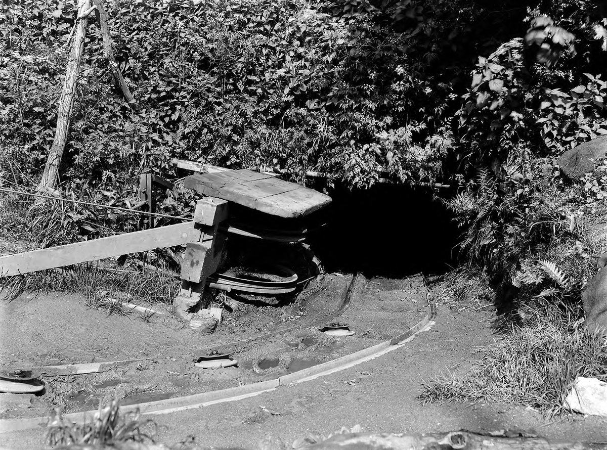 1913 - Braidwood Burn at Halbar Tower, 3.2 km. S. of Carluke., submitted by Buddle-Bot on 08-11-2025.
Bgs No. P216338; Lunn, R.; © Crown. Image & Text: BGS Geoscenic, under OGL V2 License http://bit.ly/462AXmV 1913 - Braidwood Burn at Halbar Tower, 3.2 km. S. of Carluke.