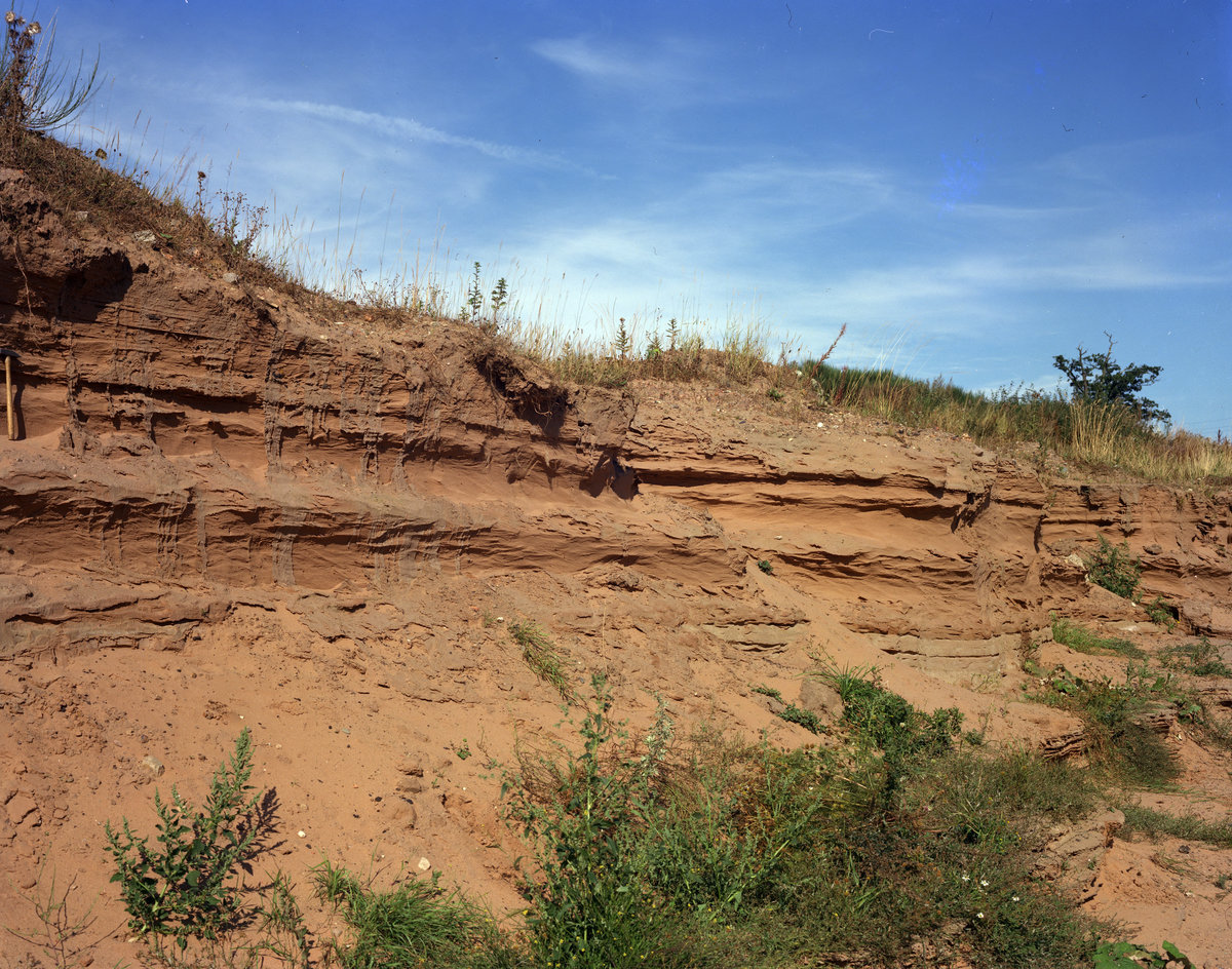 Sep 1977 - Bank Farm Sand-pit, Burton, near Wrexham.