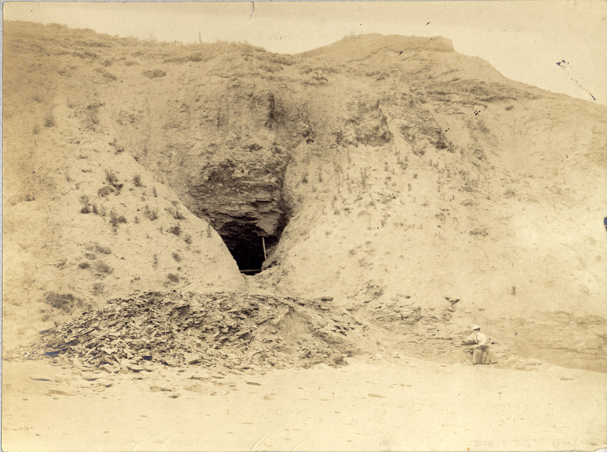 1904 - Cliffs between Kettleness and Runswick. Jet mine in Lias., submitted by Buddle-Bot on 08-11-2025.
Bgs No. P243604; Harrison, W.J.; © NERC. Image & Text: BGS Geoscenic, under OGL V2 License http://bit.ly/462AXmV 1904 - Cliffs between Kettleness and Runswick. Jet mine in Lias.