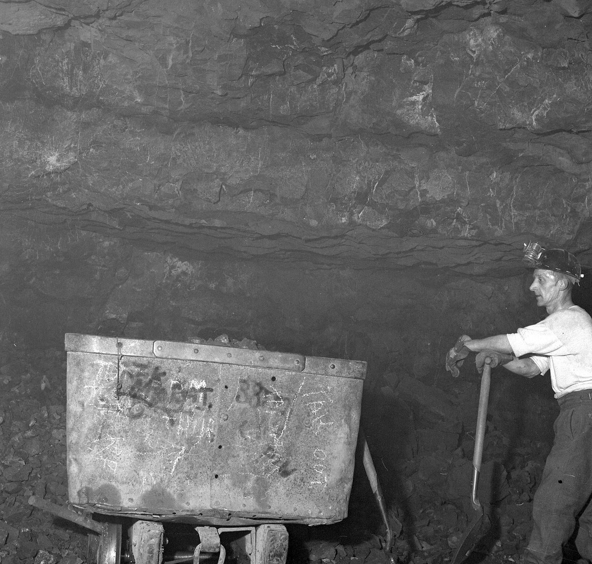 Cults Lime Ltd., Springfield, Cupar, Fife. 