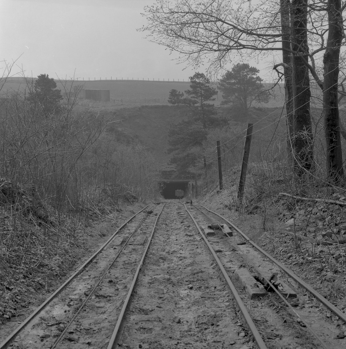 Cults Lime Ltd., Springfield, Cupar, Fife. 